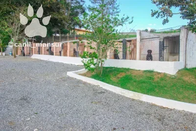 Pátio do canil visto de frente, com as baias à direita
