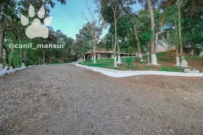 Pátio de pedrisco do canil, com o gramado e as árvores ao fundo