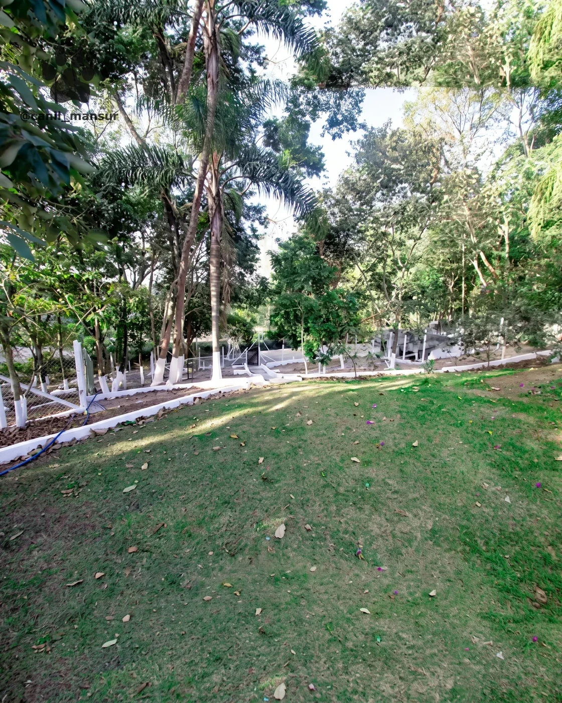 Gramado entre árvores no Canil Mansur, em Guararema